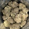 Lemon Cherry Gelato
