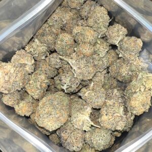 Alien Mint